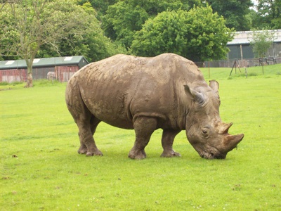 ZSL Whipsnade Zoo