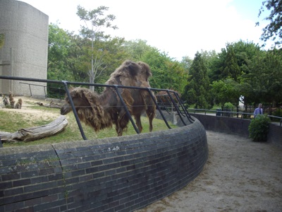 ZSL London Zoo